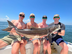 Cobia Hooked on Chesapeake Bay fishing!